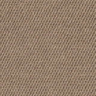 Picture of Mohawk - Tortuga II Camel