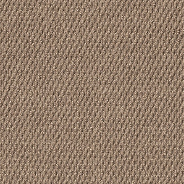 Picture of Mohawk - Tortuga II Camel