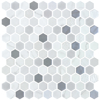 Picture of Onix Mosaico - Hexagon Blends Fossil