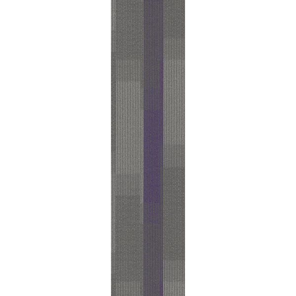 Picture of Pentz - Amplify Plank Royal Purple