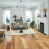 Picture of Armstrong - Prime Harvest Solid Low Gloss 2 1/4 Natural Oak