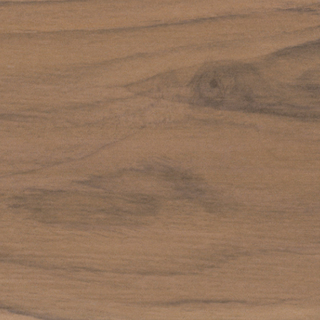 Picture of American Wonder Porcelain - Ancient Wood Birch