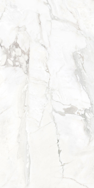 Picture of Happy Floors - Kobe 24 x 48 Borghini Natural