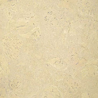 Picture of Globus Cork - Nugget Texture 12 x 12 Whitewashed