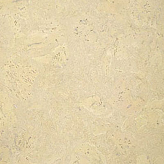Picture of Globus Cork - Nugget Texture 6 x 36 Whitewashed