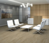 Picture of Philadelphia Commercial by Shaw - Bosk Bleached Oak