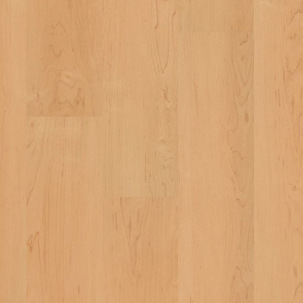 Picture of Philadelphia Commercial by Shaw - Bosk Maple Select