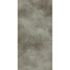 Picture of Philadelphia Commercial by Shaw - Burnished Mushroom
