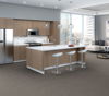 Picture of Philadelphia Commercial by Shaw - Connection 4 Mentor