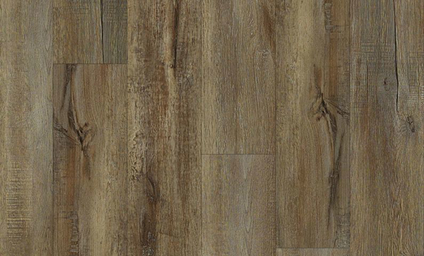 Picture of Philadelphia Commercial by Shaw - 5636V Modeled Oak