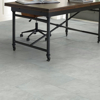 Picture of Shaw Floors - Paragon Tile Plus Pearl