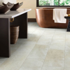 Picture of Shaw Floors - Paragon Tile Plus Shale