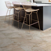 Picture of Shaw Floors - Paragon Tile Plus Jordan