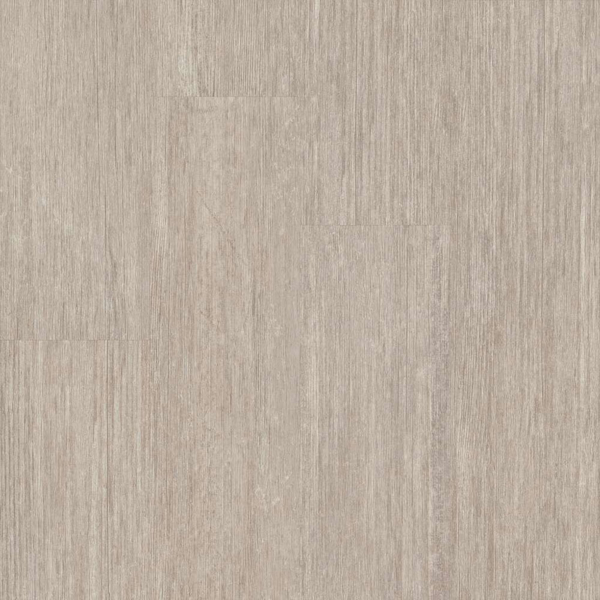 Picture of 5th and Main - Symbiotic 12 Grain