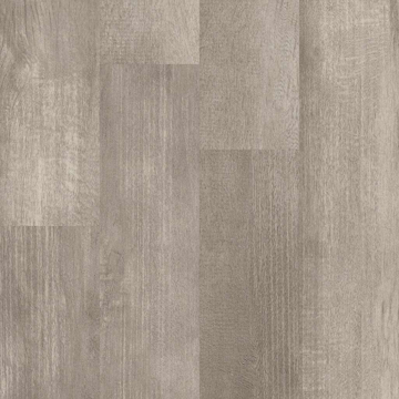 Picture of 5th and Main - Symbiotic 5.0 Fir