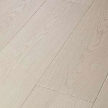 Picture of Shaw Floors - Ascent NB Tundra