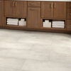 Picture of Shaw Floors - Paragon Tile Plus Bone