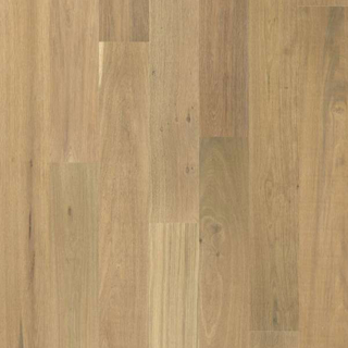 Picture of Shaw Floors - Frontier Smooth Grove