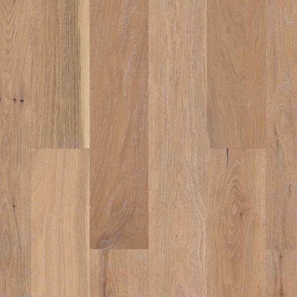 Picture of Shaw Floors - Citadel Sovereign