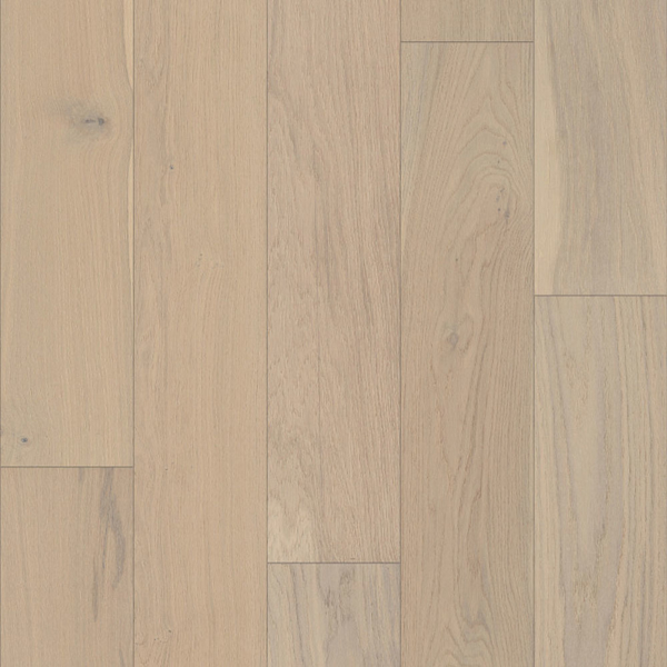 Picture of Shaw Floors - Citadel Regal