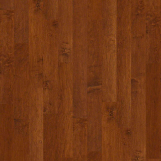 Picture of Shaw Floors - Coral Springs Burnside