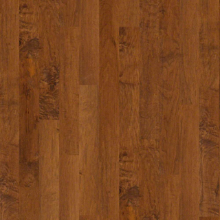 Picture of Shaw Floors - Coral Springs Surfside