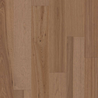 Picture of Shaw Floors - Exploration Hickory Inlet
