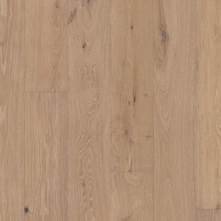 Picture of Shaw Floors - Elegance Oak Brocade