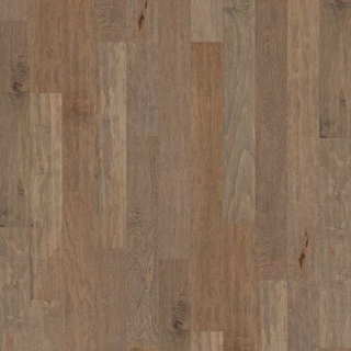 Picture of Shaw Floors - Gulf Breeze Oceanside