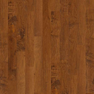 Picture of Shaw Floors - Gulf Breeze Surfside