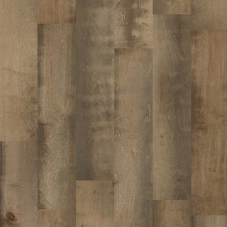 Picture of Shaw Floors - Landmark Maple Independence Hall