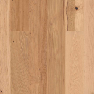 Picture of Shaw Floors - Kingston Hickory Coat Of Arms