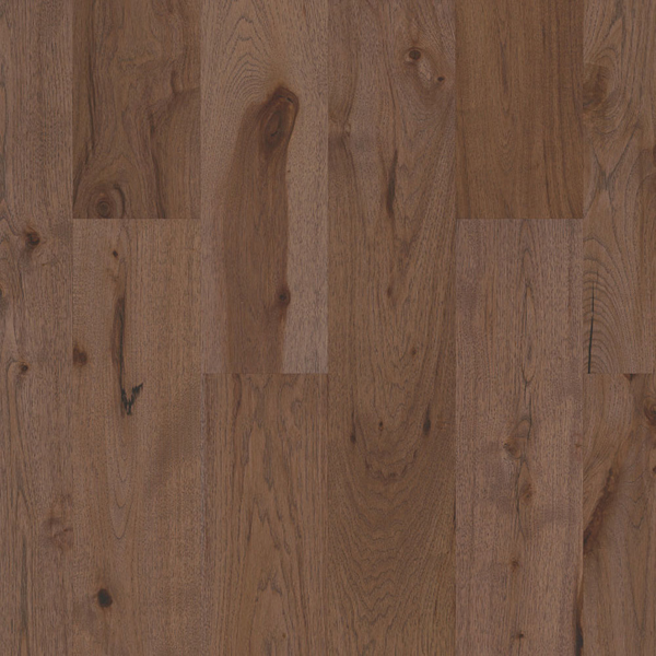 Picture of Shaw Floors - Impressions Hickory Radiance