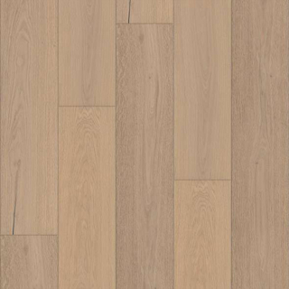 Picture of Shaw Floors - Expressions 9.5 Lyric