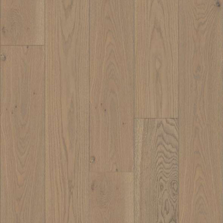 Picture of Shaw Floors - Expressions 9.5 Finesse