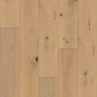 Picture of Shaw Floors - Expressions 9.5 Harmony