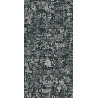 Picture of Philadelphia Commercial by Shaw - Arid 18 x 36 Archipelago
