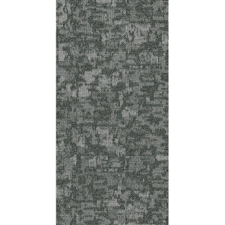 Picture of Philadelphia Commercial by Shaw - Arid 18 x 36 Glacier