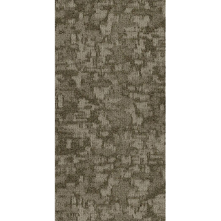Picture of Philadelphia Commercial by Shaw - Arid 18 x 36 Salt Flat