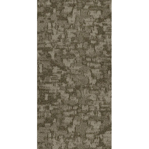 Picture of Philadelphia Commercial by Shaw - Arid 18 x 36 Salt Flat