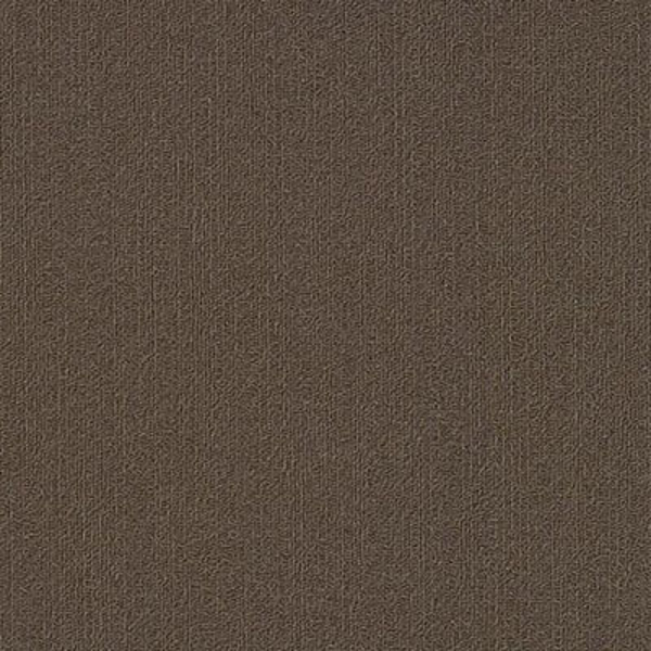 Picture of Philadelphia Commercial by Shaw - Color Accents 18 x 36 Bark