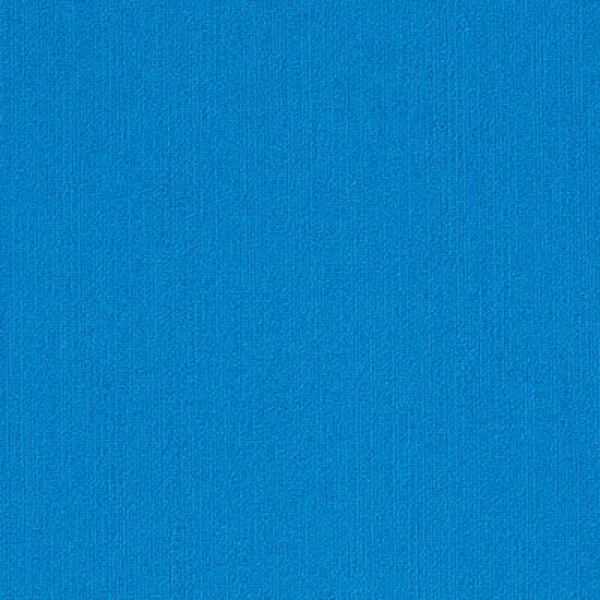 Picture of Philadelphia Commercial by Shaw - Color Accents 18 x 36 Blue