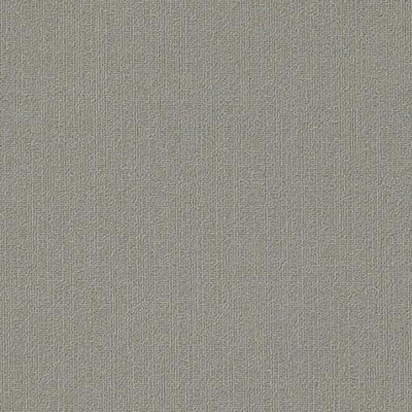 Picture of Philadelphia Commercial by Shaw - Color Accents 18 x 36 Cement