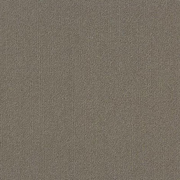 Picture of Philadelphia Commercial by Shaw - Color Accents 18 x 36 Portabella