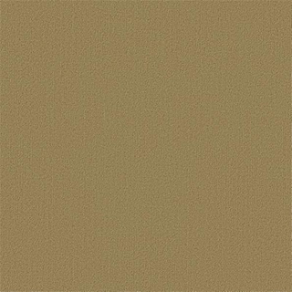 Picture of Philadelphia Commercial by Shaw - Color Accents 24 x 24 Aloe