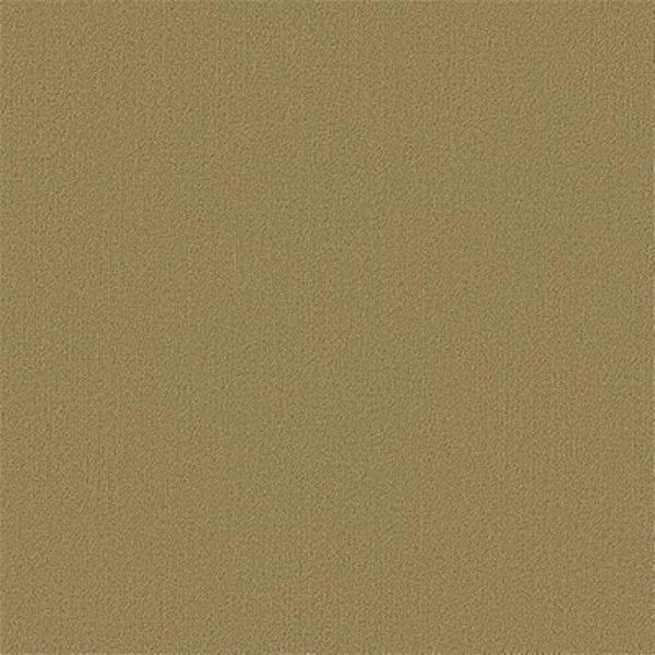Picture of Philadelphia Commercial by Shaw - Color Accents 24 x 24 Aloe