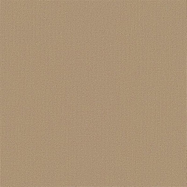 Picture of Philadelphia Commercial by Shaw - Color Accents 24 x 24 Autumn Gold