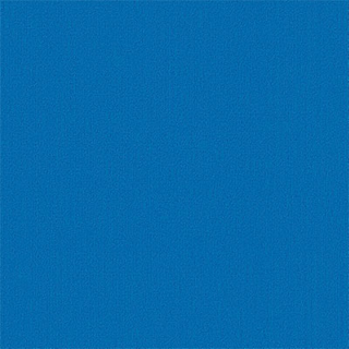 Picture of Philadelphia Commercial by Shaw - Color Accents 24 x 24 Blue