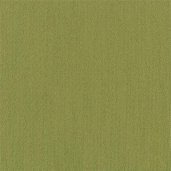 Picture of Philadelphia Commercial by Shaw - Color Accents 24 x 24 Brite Green
