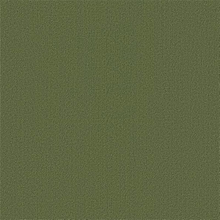 Picture of Philadelphia Commercial by Shaw - Color Accents 24 x 24 Cactus